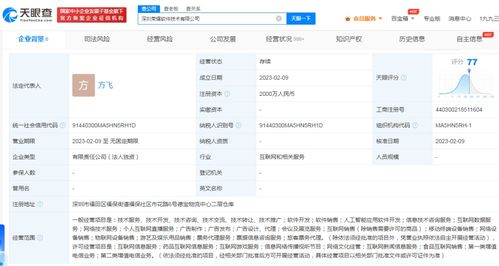 荣耀跨界布局游戏与信息服务，2000万成立软件子公司引发行业关注