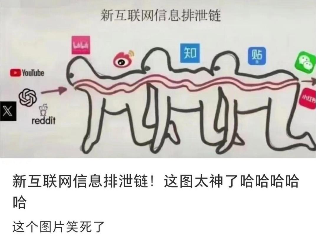 互联网信息鄙视链,是这样吗,至少我觉得中文互联网内容产生,不太会受